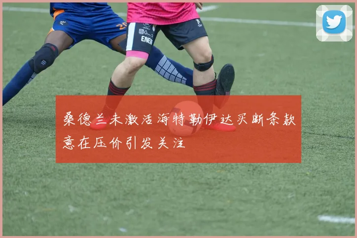 桑德兰未激活海特勒伊达买断条款意在压价引发关注